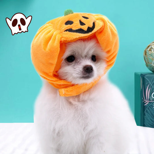 Pet  Pumpkin Hat Halloween Carnival Party Decoration Headwear Supplies Small Medium and Big Dog Teddy Fight Dog Hat