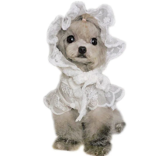 White Lace Princess Dog Weeding Dress Cool Mesh Girl Dresses For Cat Dog Clothes O-neck Small Medium Dogs Chihuahua Pet Skirt XL