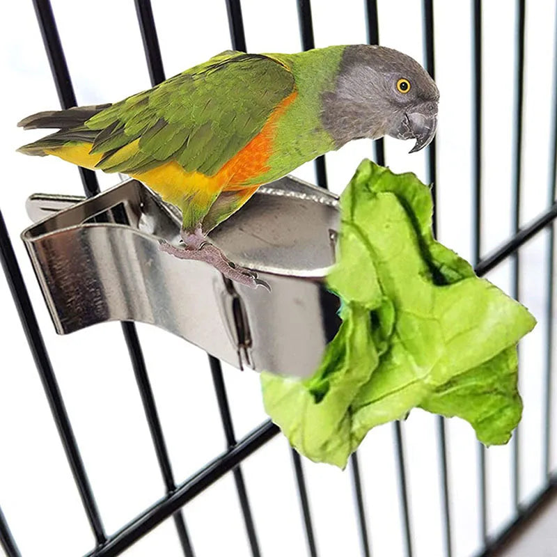 Birds Parrots Fruit Forks Food Holder Fruit Vegtable Clip Feeder Device Parrot Pet Bird Cage Accessory Pet Supplies 1-5Pcs