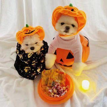 Pet  Pumpkin Hat Halloween Carnival Party Decoration Headwear Supplies Small Medium and Big Dog Teddy Fight Dog Hat