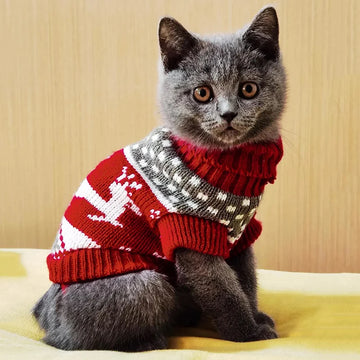 Cute Cat Sweater Costume Winter Warm Pet Clothes for Cats Katten Sphynx Pullover Mascotas Clothing Gatos Products for Animals