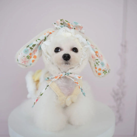 Autumn and Winter New Big Flower Coarse Spinning Suspender Skirt Hat Cute Plush Clothes Puppy Clothes Dog Jacket Vest