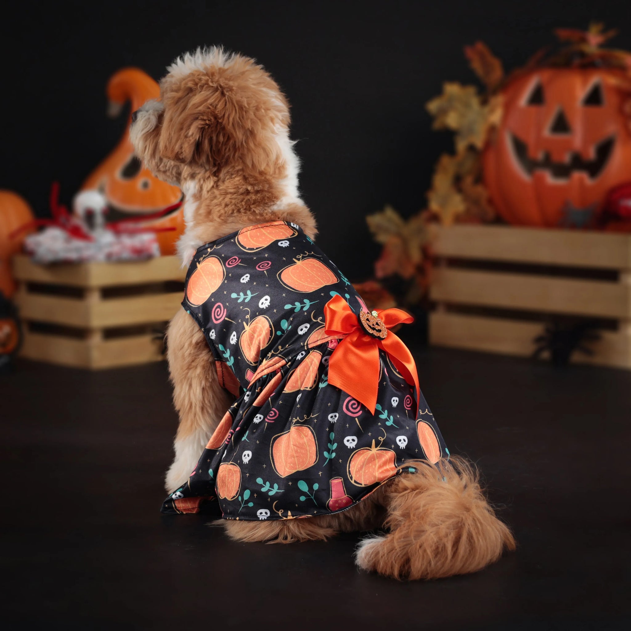 New Fun Dog Halloween Costume Pet Lace Hair Proof Dress Dog Clothes Gift Dog Dresses for Small Dogs