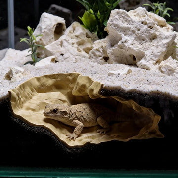 3D Print Natural Style Rock Crack Hide-Durable Pet Shelter for Gecko Spider Fish Shrimp|Eco-Friendly Aquarium Terrarium Decor