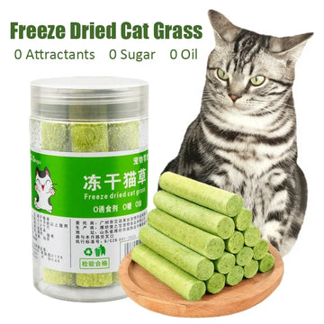 Cat Grass Sticks Freeze Dried Snacks Catnip Biscuits Teething Digestive Aid Scientific Ratio Nutrition Fattening Pet Foods