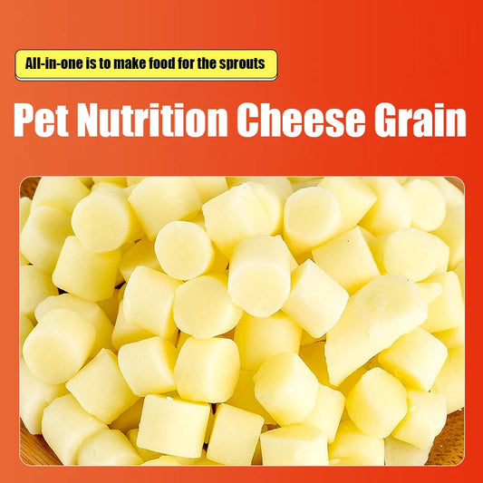 Hamster Cheese Grain Nutrition Snack Molar Calcium Supplies Golden Bear Rabbit Totoro Hedgehog Food