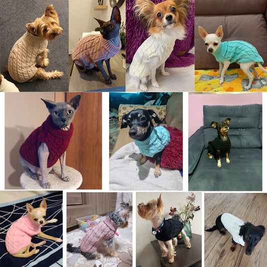 Warm Dog Sweaters for Small Dogs Turtleneck Knitted Winter Dog Clothes Pet Puppy Cat Sweater Vest Chihuahua French Bulldog Coat