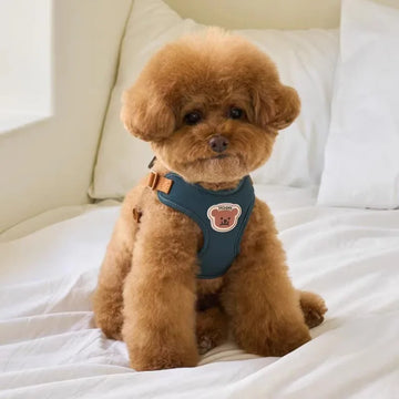 Cute Bear Pet Harness Leash Set Dog Vest Harness Strap Adjustable Breathable Harness for Puppy Cat Dog Supplies