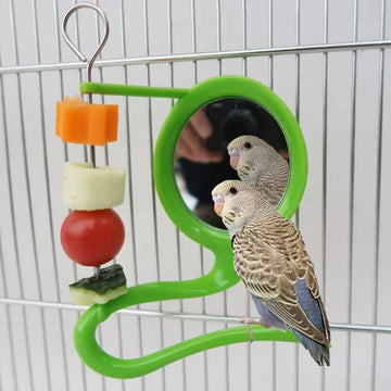 Bird Mirror Toy with Plastic Perch Stand Parrot Metal Fruit Vegetable Holder Feeder Lovebirds Finches Canaries Cage Accessories