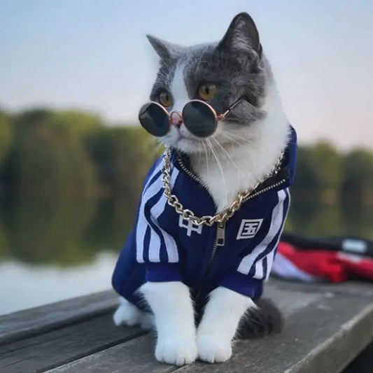 Pet Fashion Brand Cat Blue Cat Puppet Clothes with plush and thickened autumn and winter sportswear