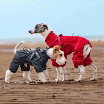 Autumn Winter Pet Dog Rain Jacket with Harness For Small Medium Large Dogs Waterproof Jumpsuit Reflective Puppy Outdoor Jacket