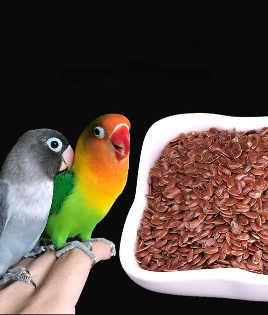 0.5kg Smart Parrot Food Natural Food for Parrots Good fir Feather Premium Blend of Seeds