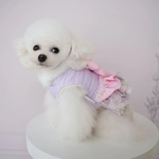 Pet Dog Winter Clothing Striped Multi Layer Lace Cotton Skirt Waterproof Clothes Small and Medium Sized Dog Two Leg Clothes