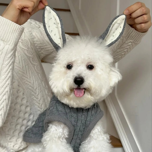 Pet Knitted Rabbit Ears Hooded Coat Warm Pet Clothes Cloak Shawl Small Medium sized Cat Teddy Autumn Winter Thickened