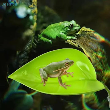 ♥Leaf Suction Cup Frog Habitat Reptile Basking Area Resting Terrace Suction Cups Tank Accessory Simulated Leaves For Geckos