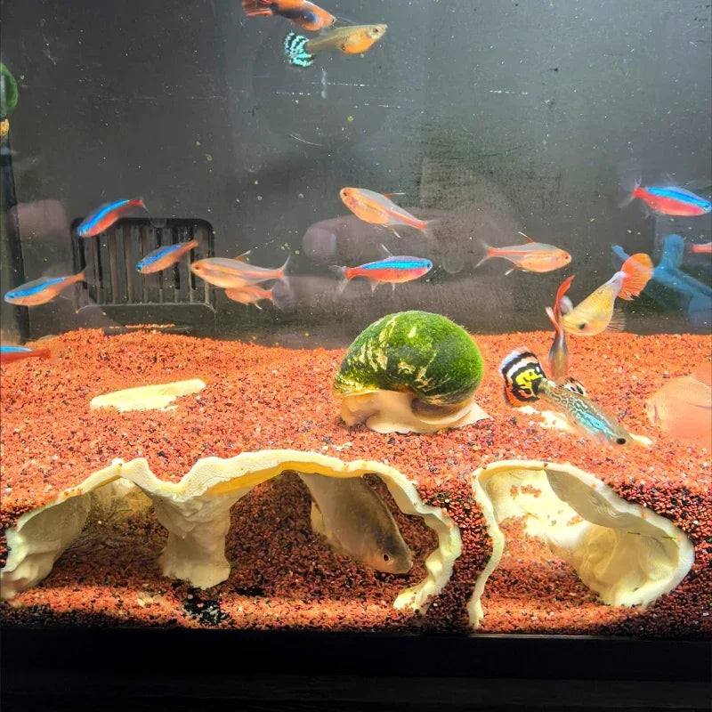 Fish Tank Underwater Palace Hiding Cave for Fish Shrimp Reptiles Shelter, Landscaping Ornaments 3D Printed Aquarium Decorations