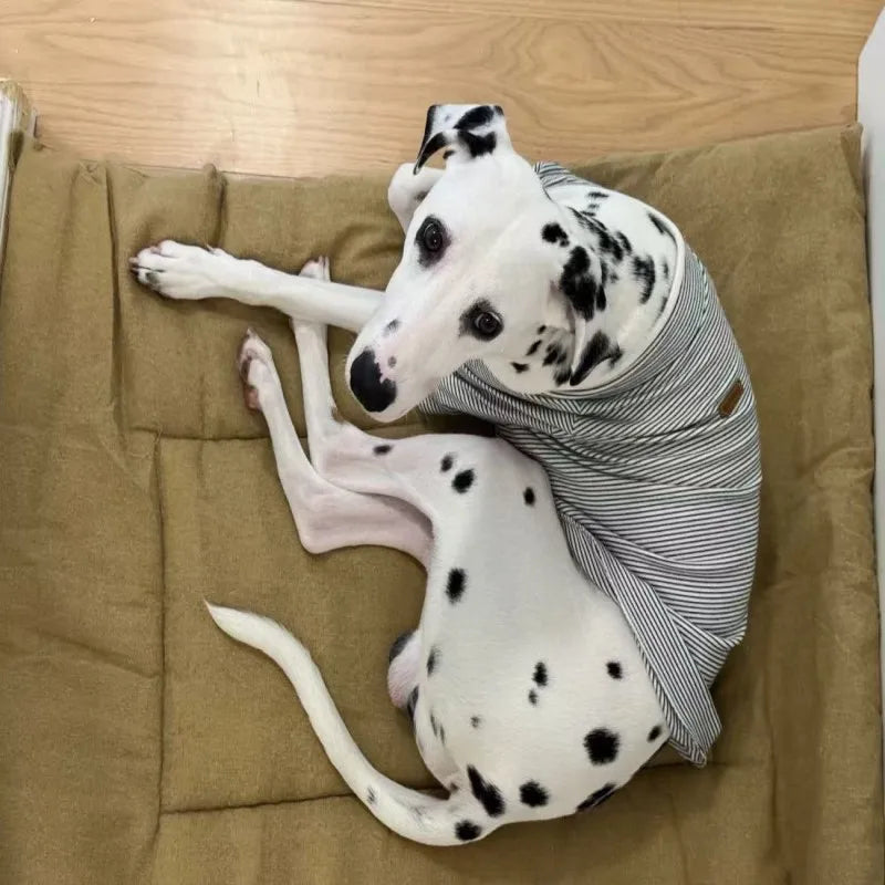 Dog Pet Beds Extra Large Dog Bed Sofa Cat Bed Four Season Cotton linen Mat Scratch-resistant wear-resistant Pet Cushion Cat Mat