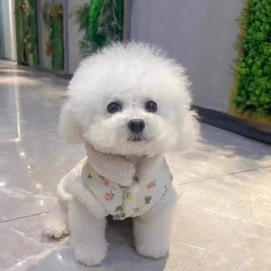 Pet Cute Bear Rose Coat Clothes Autumn Winter Plush Clip Cotton Traction Vest Teddy Bib Bear Dog Cat Thickened Cardigan Coat