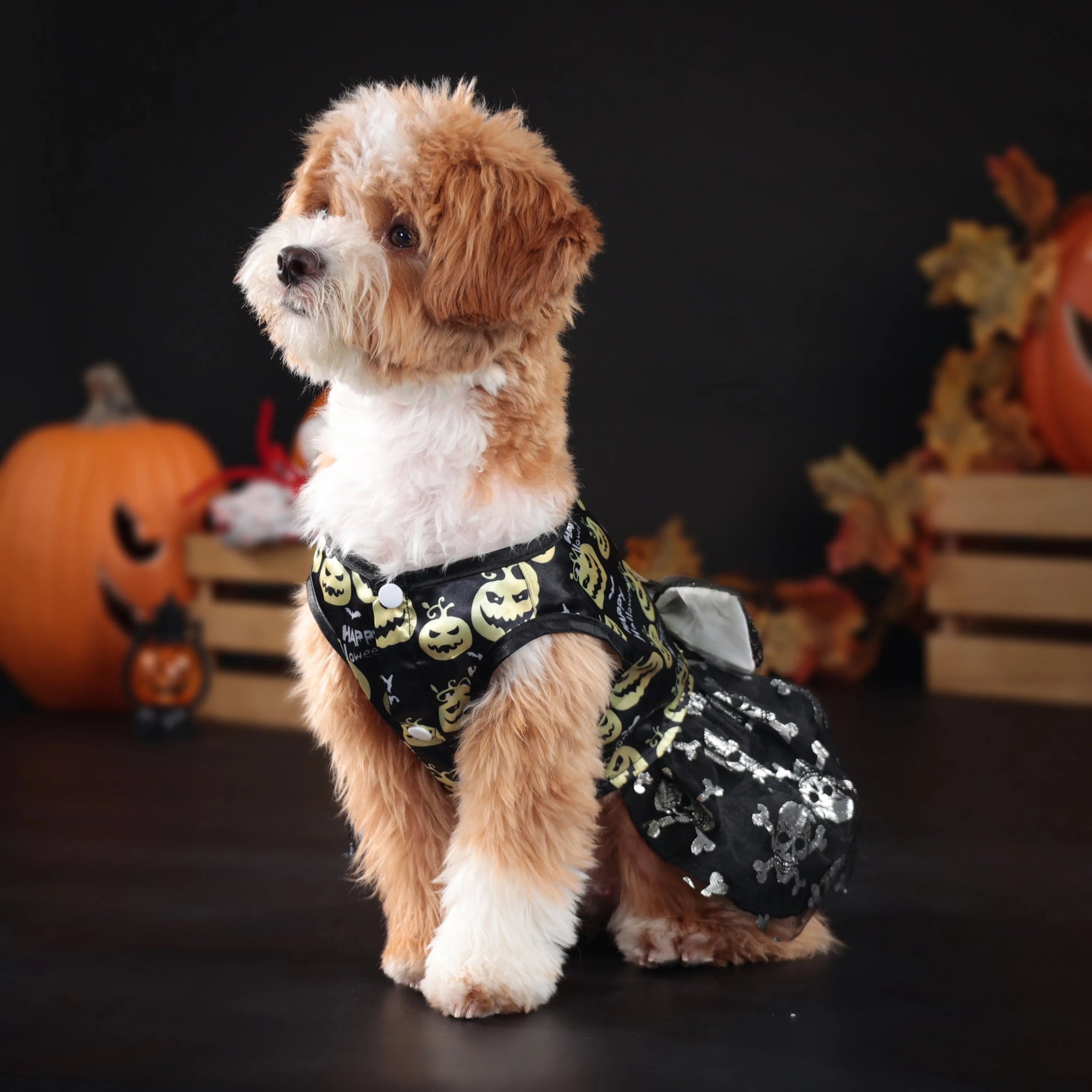 New Fun Dog Halloween Costume Pet Dress Dog Clothes Gifts