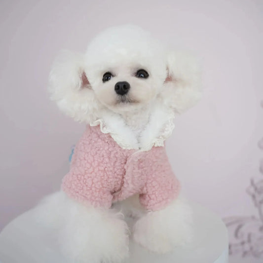 Pet Warm Coat Lamb Wool Denim Cat Cotton Coat Two Legged Medium-sized Dog Coats Dog Hooded Ear Coat Puppy Clothes