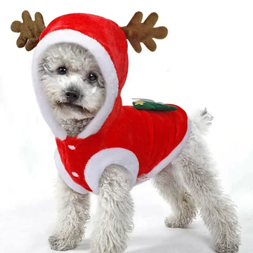 Christmas Dog Clothes Santa Costume for Puppy Chihuahua Yorkshire Pet Cat Clothing Jacket Coat Winter Warm Flannel Hoodies