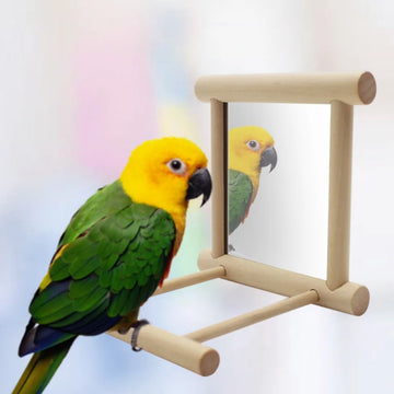 Parrot Mirror Stand Suitable for Birds to Play And Perch in Cages, Accessories Bird Swing Toy for Budgerigars And Other Parrots