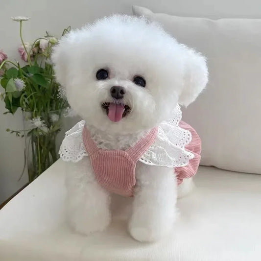 Pet Clothing Autumn/Winter New Corduroy Pumpkin Skirt Pulling Buckle Teddy Cat Warm Lace Skirt Puppy Dresses for Small Dogs