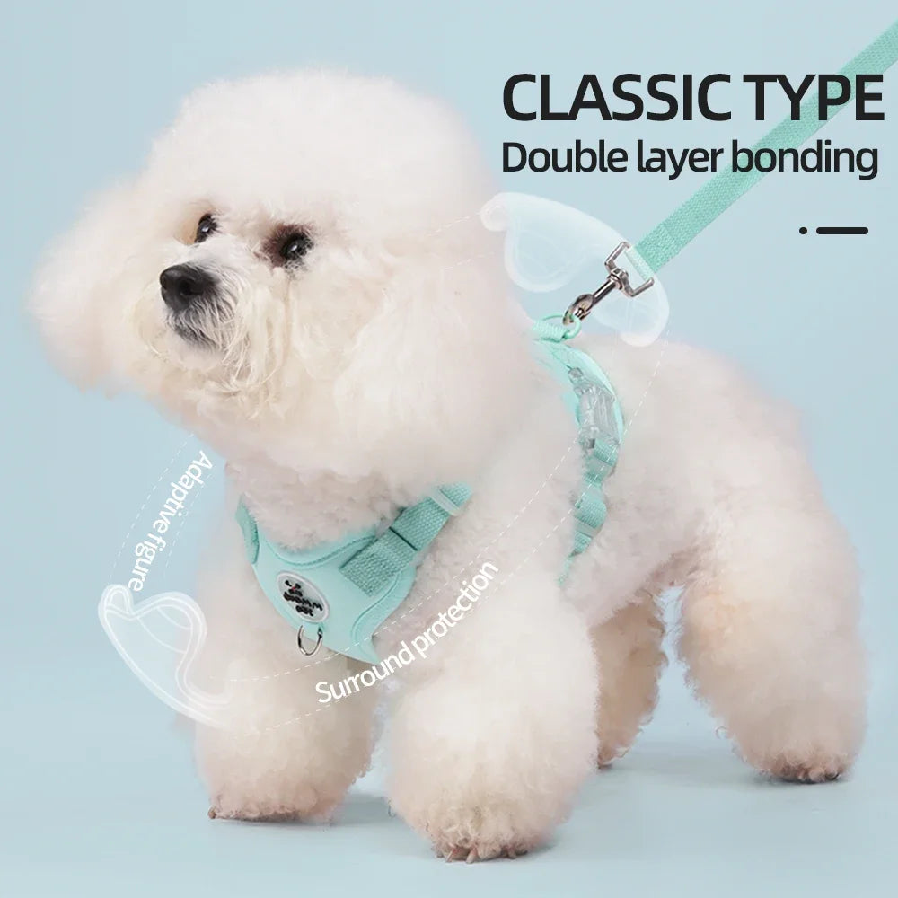 Colorful Lightweight Dog Harness for Small Breeds -Dopamine Style Breathable No-Pull Pet Vest with Leash Comfortable Outdoor Use