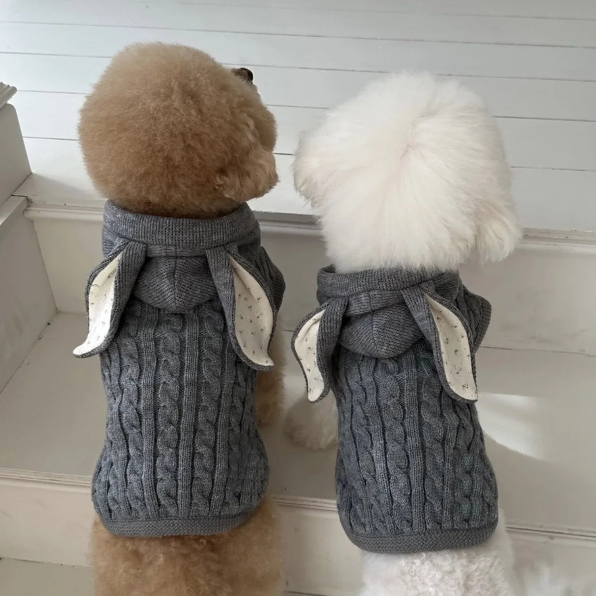 Pet Knitted Rabbit Ears Hooded Coat Warm Pet Clothes Cloak Shawl Small Medium sized Cat Teddy Autumn Winter Thickened