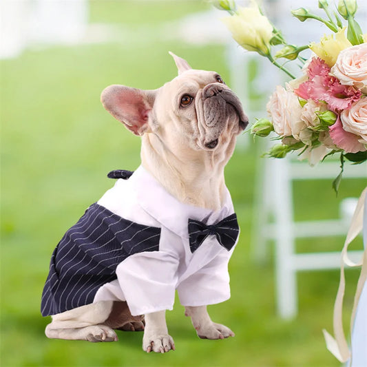 Pet Clothes Dog Shirt Dog Tuxedo Bow Tie Shirt for Boy Dog Wedding Party Bulldog Pug Puppy Costume Pet Teddy Summer Thin Outfits