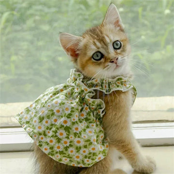 Summer Cotton Sphynx Cat Suspender Skirt Love Flower Pet Princess Dresses for Cats Gotas Katten Kedi Dog Dress mascotas Clothes