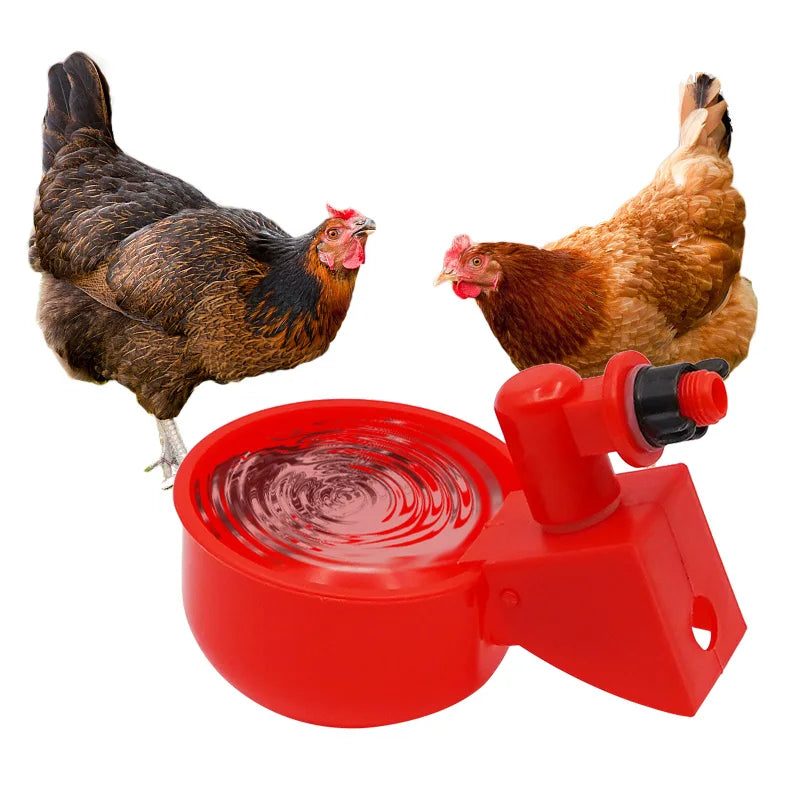 1Pc Automatic Chicken Drinking Water Cup Plastic Chicken Feeder Bowl for Poultry Quail Pigeon Bird Rabbit Cage Poultry Drinker