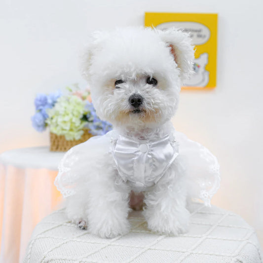 1PC Pet Clothing Spring and Autumn Thin White Pearl Dress Wedding Princess Dress Suitable for Small and Medium sized Dogs