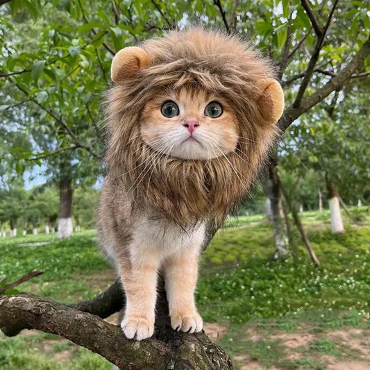 Decorative Pet Hat Soft Lightweight Lion-style Hats Breathable Pet Hood  Adorable Pet Photography Props Cat Costume  Cosplay