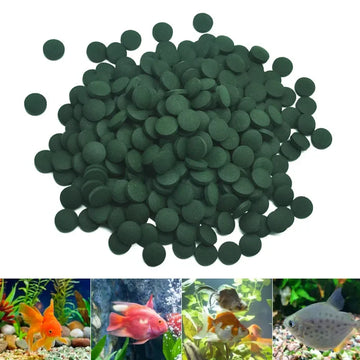 100pcs Spirulina Tablets Enrichment Favorite Pet Food fish crystal red shrimp pet food