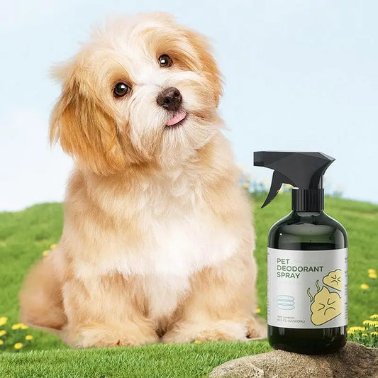 Pet Deodorizing Spray 500 Ml Cat And Dog Deodorizing Spray Odor Eliminating Spray For All Dogs Dog Spray Deodorizer Perfume