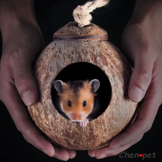 Natural Small Pet Coconut Cages for Hamster Guinea Pig Mice Squirrel Wooden House for Rat Rodent Small Animal Nest Accessories