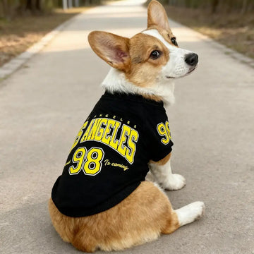 Fashion LA Style Autumn Winter Pet Dog Hoodie for Small Medium Dogs Warm Coat Jacket Puppy Dog Clothes Chihuahua Pet Clothing