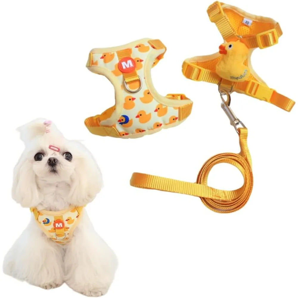 Small Dog Harness and Leash Set, Four-Point Adjustable Soft Mesh Dog Vest Harness and Quickly Release Buckle 5Ft Nylon Dog Leash