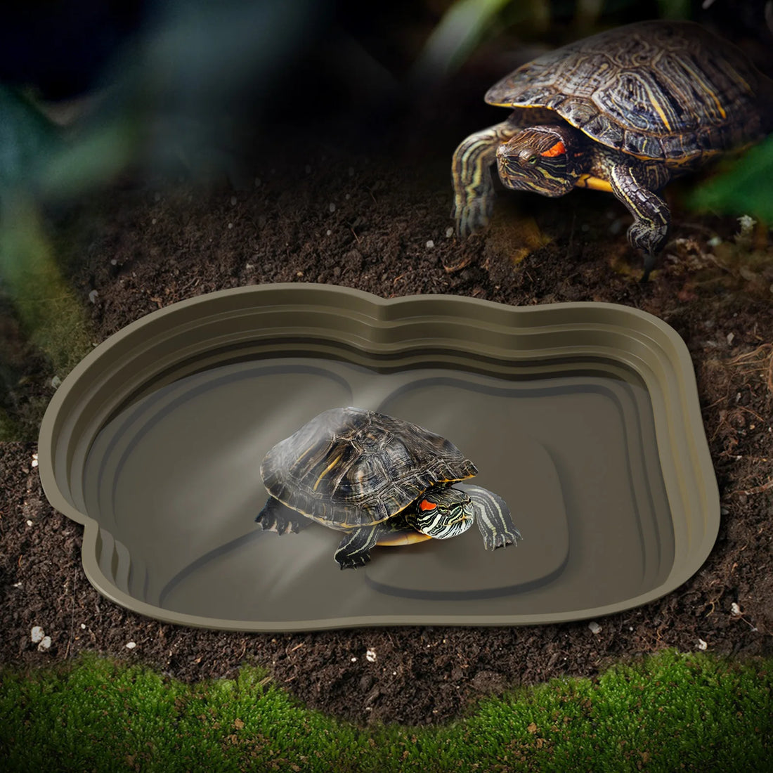 Turtle bathtub, frog bathtub, suitable for reptiles and amphibians, can also be used as food bowls and pools