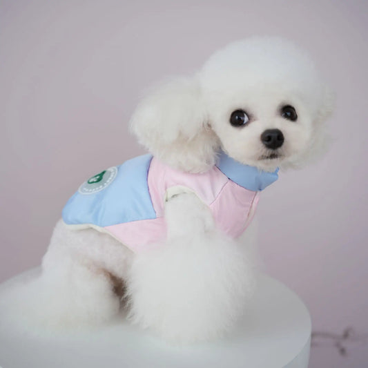 Pet Autumn/Winter New Candy Color Splicing Coat Waterproof Dog High Collar Cotton Coat Cat Two Leg Clothes Puppy Clothes