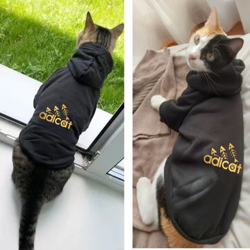 fashion cat cool clothes autumn winter puppy kitty letter printed  hoodies accesorios kitten clothes jumper designer cat outfits