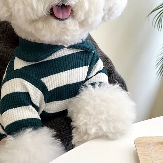 Pet Collar Striped Base Shirt Teddy Bear Clothes Small Puppy Yorkshire Cat Pet T-shirt Puppy Clothes Dog Hoodie for Small Dogs