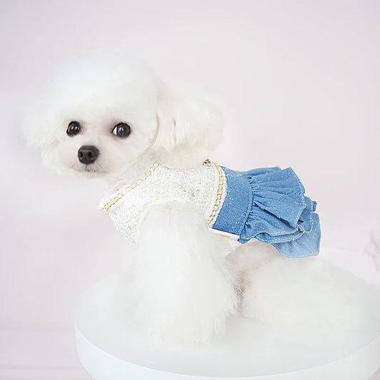 Dog Skirt Winter Fragrant Wind Denim Woolen Dress Cute Two-legged Dog Coat Poodle Puppy Clothes