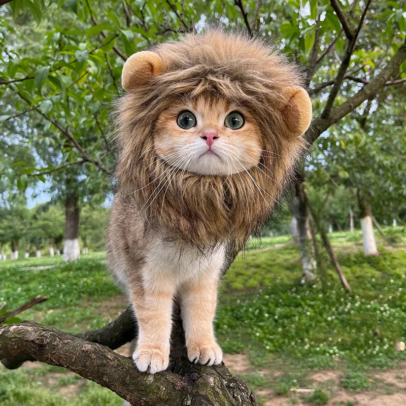 Cute Lion Mane Wig Cosplay Clothes Pet Costumes Hat Fancy Lion Hair Cat Clothes Dress Up Funny Pet Cosplay Wig Caps Supplies