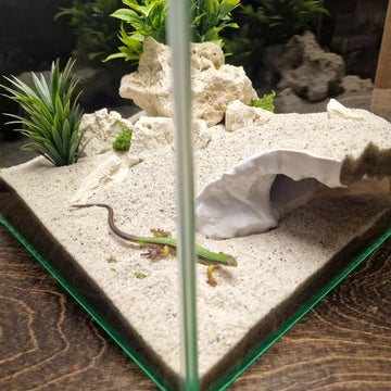 3D Printed Dual-Use Aquarium Reptile Tank Decor | Substrate Landscaping Tool & Deep Hide Cave for Small Fish Shrimp Turtles