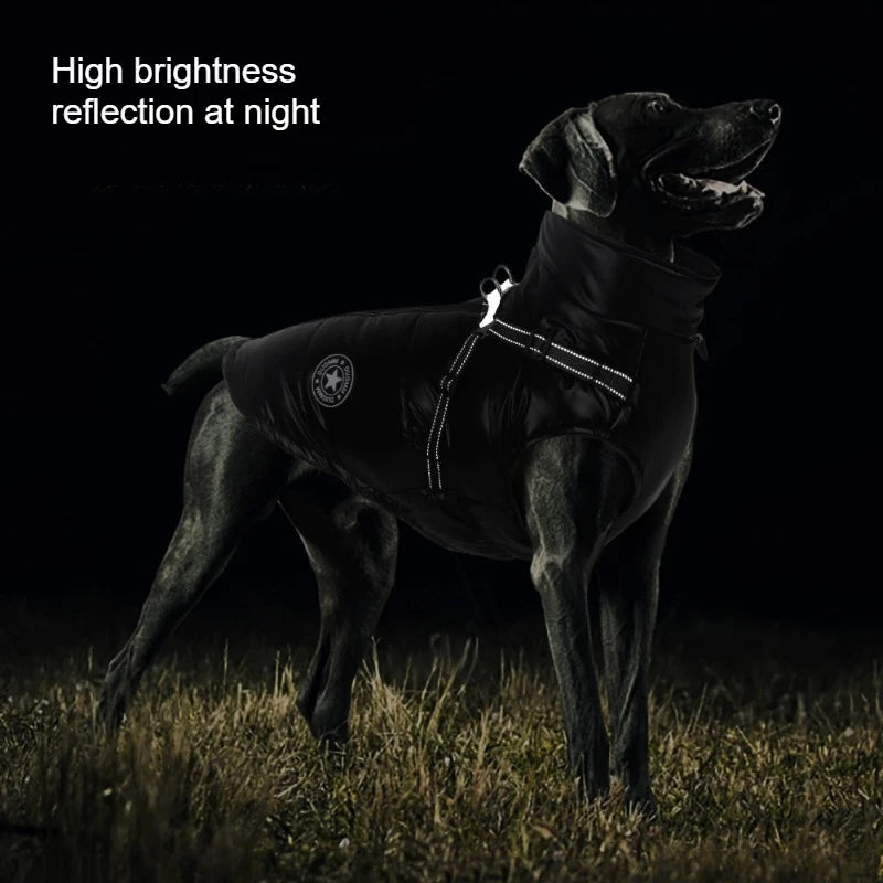 Winter Dog Jacket Waterproof Windproof Thermal Padded Coat for Small Medium Dogs Cold Weather Warm Outdoor Wear Pet Apparel