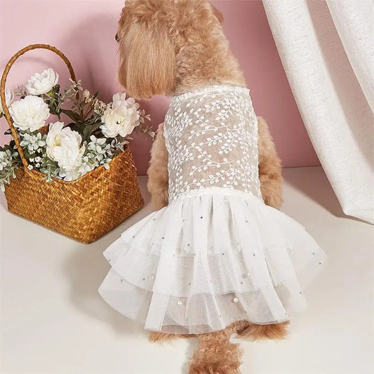 Pet Clothes Dog Wedding Party Prom Party Princess Dresses for Small Dogs Cat Costume White Mesh Dress Pet Supplies