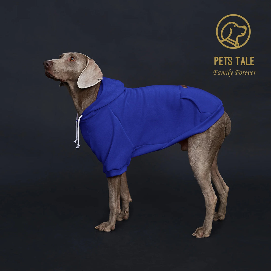 Solid Color Dog Hoodie with Pocket, Leather Patch, Hook and Loop Fastener Collar - Available in 5 Colors