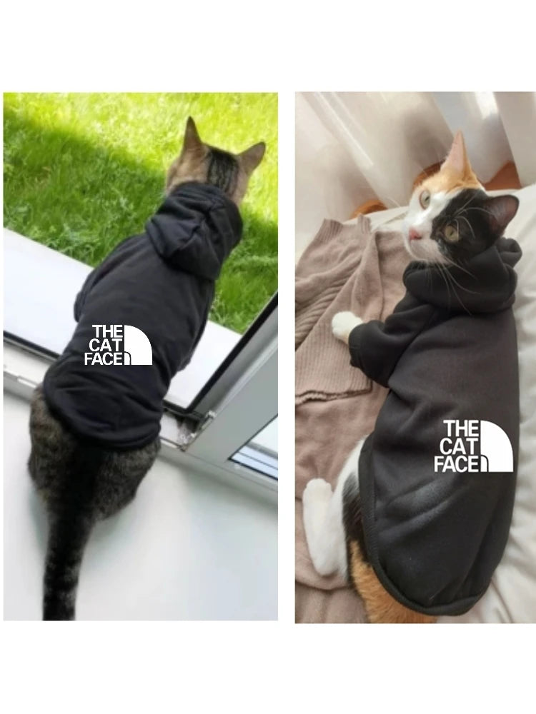 cat outfits fashion cat cool clothes autumn winter puppy kitty letter printed  hoodies accesorios kitten clothes jumper designer